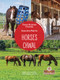 Chwal (Horses) Bilingual Eng/Cre by Amy Culliford, Jean-Pierre Gaston, 9781039850682