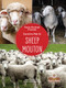Mouton (Sheep) Bilingual Eng/Cre by Amy Culliford, Jean-Pierre Gaston, 9781039850712