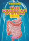 The Digestive System (An Owner's Guide) by Sarah Eason, 9781916861145