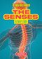 The Senses (An Owner's Guide) by Sarah Eason, 9781916861152