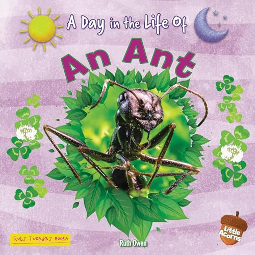 An Ant - 9781788564922 by Ruth Owen, 9781788564922