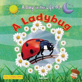 A Ladybug by Ruth Owen, 9781788564984