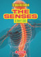 The Senses (An Owner's Guide) - 9781916861213 by Sarah Eason, 9781916861213