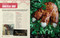 Godzilla: The Official Cookbook by Kayce Baker, 9781803368061