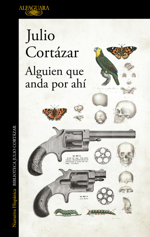 Alguien que anda por ahí / Someone Out There (Spanish Edition) by Julio Cortázar, 9789505112203