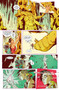 Slightly Exaggerated by Curtis Clow, Pius Bak, Roman Titov, Toben Racicot, Eva De Le Cruz, 9781506742663