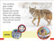DK Super Readers Pre-Level A Coyote's Tale by DK, 9780744094459