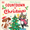 Countdown to Christmas (A Lift-the-Flap Book) by DK, 9780593849552