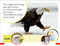 DK Super Readers Pre-level An Eagle's Tale - 9780593847213 by DK