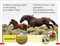 DK Super Readers Pre-Level A Mustang's Tale - 9780593847183 by DK