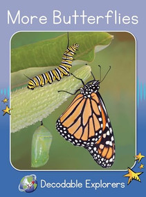 More Butterflies (Skills Set 8) by Pam Holden, 9781776934355