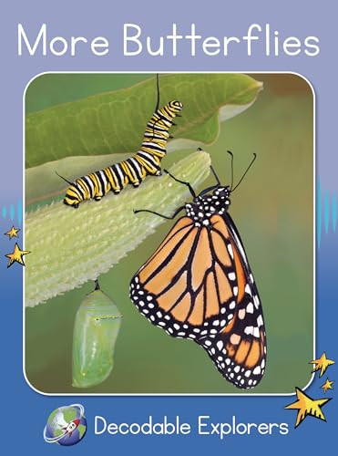 More Butterflies (Skills Set 8) by Pam Holden, 9781776934355