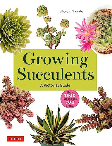 Growing Succulents (A Pictorial Guide (Over 1,500 photos and 700 plants)) by Shoichi Tanabe, 9780804855532