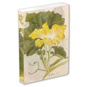 Japanese Squash Blossom Lined Paperback Journal (Blank Notebook with Pocket) by Tuttle Studio, 9780804855792