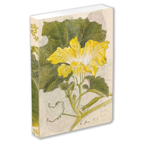 Japanese Squash Blossom Lined Paperback Journal (Blank Notebook with Pocket) by Tuttle Studio, 9780804855792