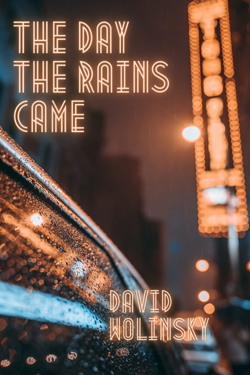 The Day The Rains Came by David Wolinsky, 9781771617246