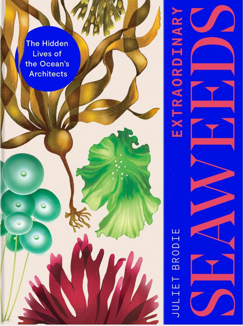 Extraordinary Seaweeds (The hidden lives of the ocean's architects) by Juliet Brodie, 9781529427431