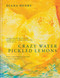 Crazy Water, Pickled Lemons (Enchanting dishes from the Middle East, Mediterranean and North Africa) by Diana Henry, 9781783256297
