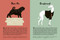 101 Dogs: An Illustrated Compendium of Canines by Nicola Jane Swinney, Romy Blümel, 9781536238419