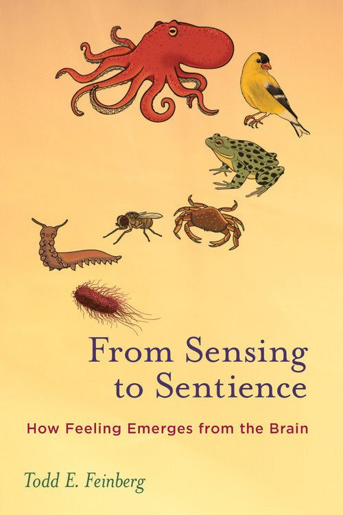 From Sensing to Sentience (How Feeling Emerges from the Brain) by Todd E. Feinberg, 9780262550956