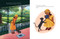 Tiana's Perfect Plan by Anika Noni Rose, Olivia Duchess, 9781368081603