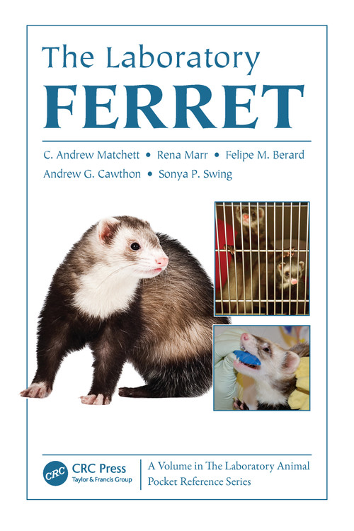 The Laboratory Ferret by C. Andrew Matchett, Rena Marr, Felipe M. Berard, Andrew G. Cawthon, Sonya P. Swing, 9781439861813