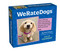 WeRateDogs 2025 Day-to-Day Calendar by Matt Nelson, 9781524889029
