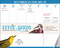 Effin' Birds 2025 Weekly Desk Pad Calendar by Aaron Reynolds, 9781524889401