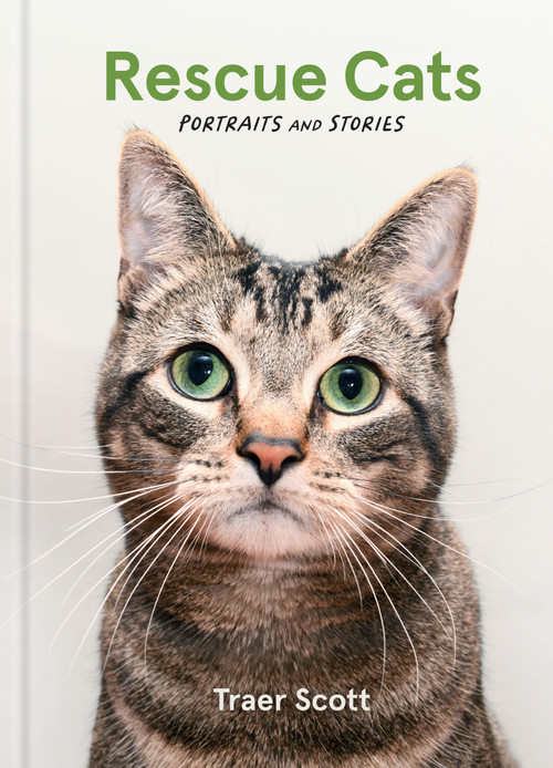 Rescue Cats (Portraits and Stories) by Traer Scott, 9781797228747