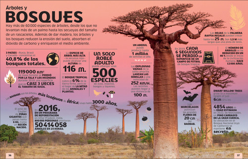 El mundo en números (Our World in Numbers) (Spanish Edition) by DK, 9780593848180