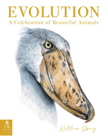 Evolution: A Celebration of Beautiful Animals by William Spring, William Spring, 9781536238358