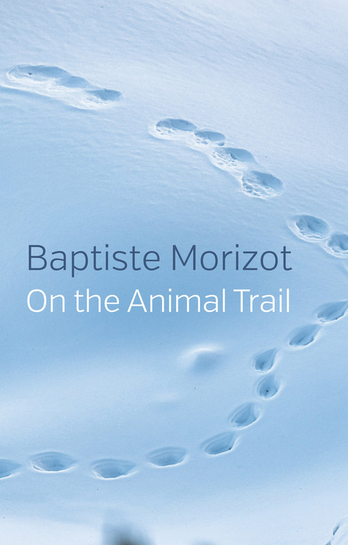 On the Animal Trail by Baptiste Morizot, Andrew Brown, 9781509547173