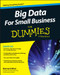 Big Data For Small Business For Dummies by Bernard Marr, 9781119027034