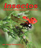 Insectos: Un libro de comparaciones y contrastes (Insects: A Compare and Contrast Book) (Spanish Edition) by Aszya Summers, Alejandra de la Torre, Javier Camacho Miranda, 9781638173113