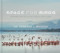 Space for Birds (Patterns and Parallels of Beauty and Flight) by Dr. Roberta L. Bondar, Audrey Azoulay, 9781773272450