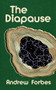 The Diapause by Andrew Forbes, 9781778430503