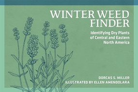 Winter Weed Finder (Identifying Dry Plants of Central and Eastern North America) by Dorcas S. Miller, Ellen Amendolara, 9780912550534