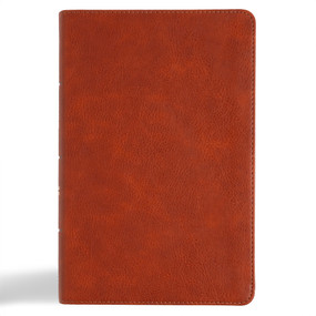 CSB Large Print Personal Size Reference Bible, Digital Study Edition, Burnt Sienna LeatherTouch by CSB Bibles by Holman, 9798384501725