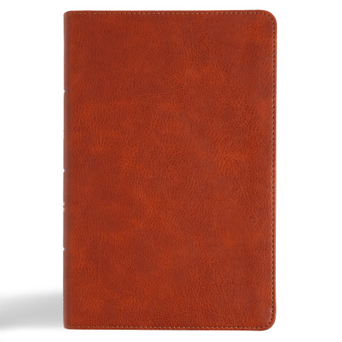 CSB Large Print Personal Size Reference Bible, Digital Study Edition, Burnt Sienna LeatherTouch by CSB Bibles by Holman, 9798384501725