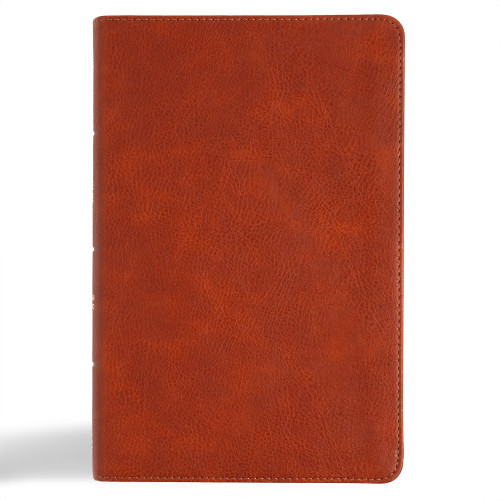 CSB Large Print Personal Size Reference Bible, Digital Study Edition, Burnt Sienna LeatherTouch, Indexed by CSB Bibles by Holman, 9798384501732