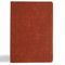 CSB Giant Print Single-Column Bible, Burnt Sienna LeatherTouch by CSB Bibles by Holman, 9798384509318
