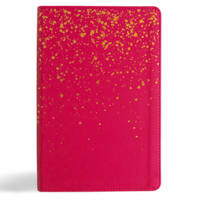 CSB Kids Bible, Pink LeatherTouch by CSB Bibles by Holman, 9798384509356