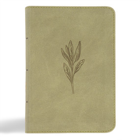 NASB Large Print Compact Reference Bible, Sage SuedeSoft LeatherTouch by Holman Bible Publishers, 9798384509455