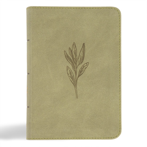 NASB Large Print Compact Reference Bible, Sage SuedeSoft LeatherTouch by Holman Bible Publishers, 9798384509455