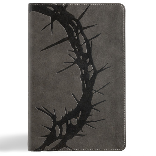 NASB Large Print Personal Size Reference Bible, Charcoal LeatherTouch by Holman Bible Publishers, 9798384509462