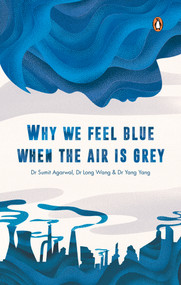 Why We Feel Blue When the Air is Grey by Yang Yang, Sumit Agarwal, Long Wang, 9789815017861