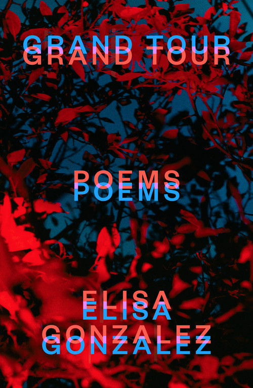 Grand Tour (Poems) - 9780374613990 by Elisa Gonzalez, 9780374613990