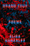 Grand Tour (Poems) - 9780374613990 by Elisa Gonzalez, 9780374613990