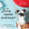 A Bunny Named Barnaby (It's a Bun Life) by Katja Russell, Nick McGinn Jr., 9781684422159