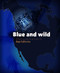 Blue and Wild: Amazing Marine Animals of Baja California by Cecilia Soldatini, Monica Parussolo, Yuri Albores, 9788899180737
